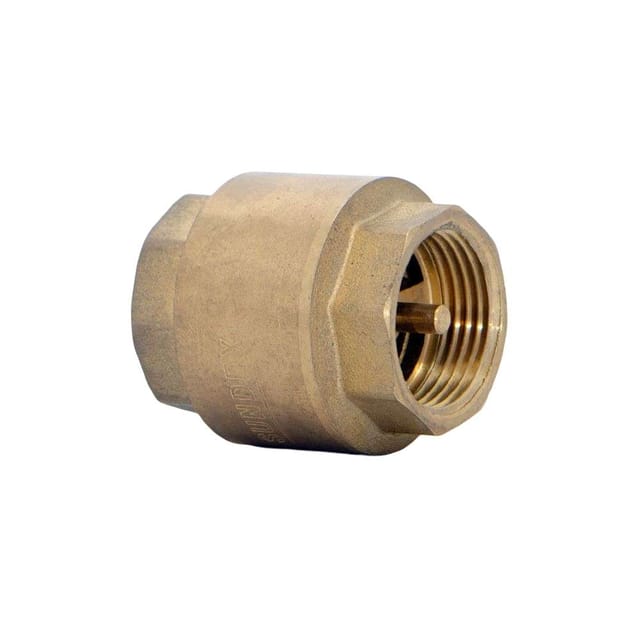 Sundex 1" Check Valve
